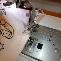 Bernina L460 und der Janome Skyline S3