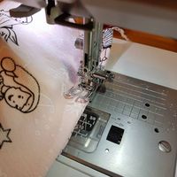 Bernina L460 und der Janome Skyline S3